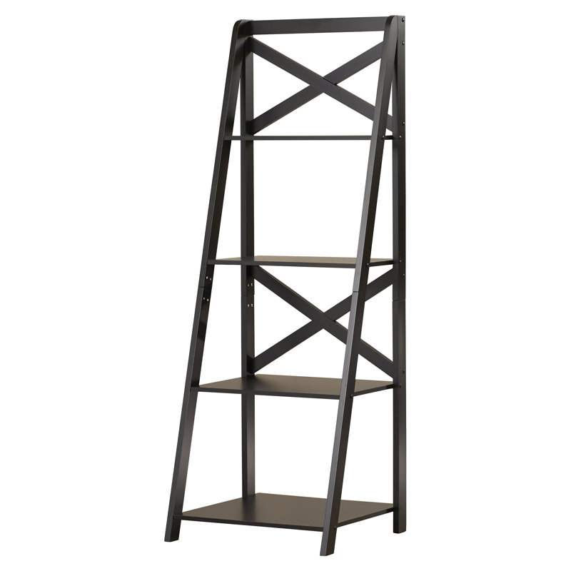 Kaitlyn Ladder Bookcase & Reviews Birch Lane